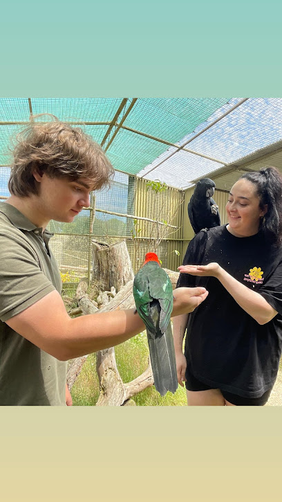 profile picture of Ballarat Bird World profile picture