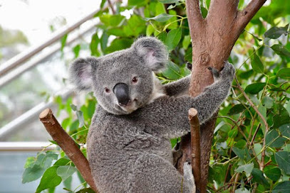 profile picture of WILD LIFE Sydney Zoo profile picture