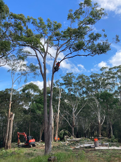 profile picture of Ben Hastings Tree Service profile picture