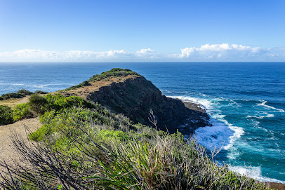 profile picture of Wyrrabalong National Park profile picture