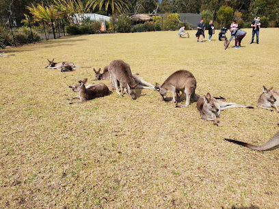 profile picture of Symbio Wildlife Park profile picture