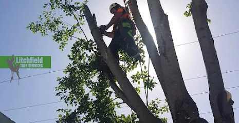 profile picture of Litchfield Tree Services profile picture