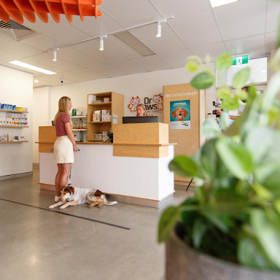 Dr Paws Kotara Veterinary Clinic Newcastle