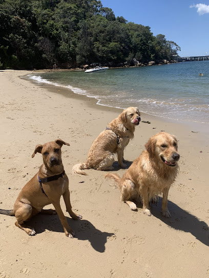 Photo of Oh My Dog!