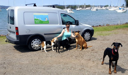 Tails and Trails Dog Walking