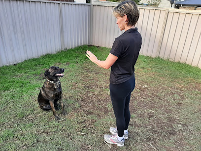 Noonies Pet Care Newcastle