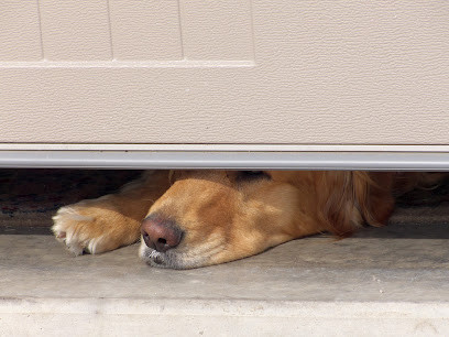 Garage Door Assist