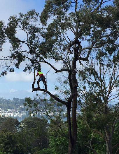 Photo of Evergreen Tree Professionals