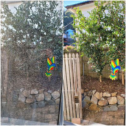 Hunter window cleaning