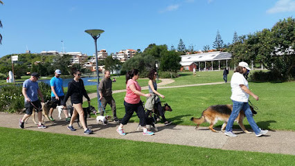 Insinc Dog Training, Behaviour & Lifestyle