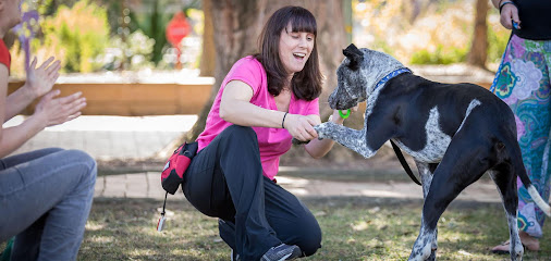 Photo of Dogaholics Dog Training and Behaviour Services