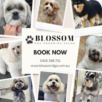 Blossom Dog Grooming Salon