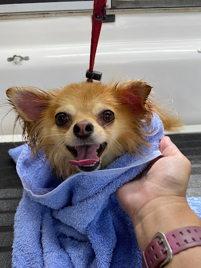 Paws for Pampering