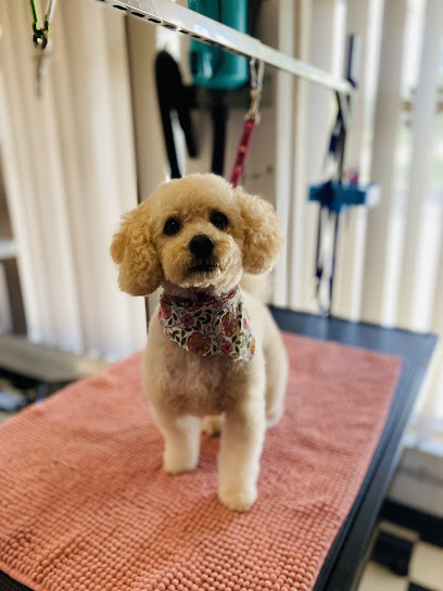 Heavenly Paws Dog Grooming & Washing