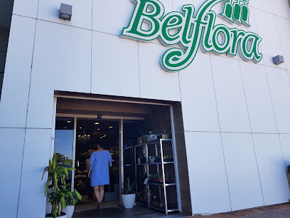 Photo of Belflora