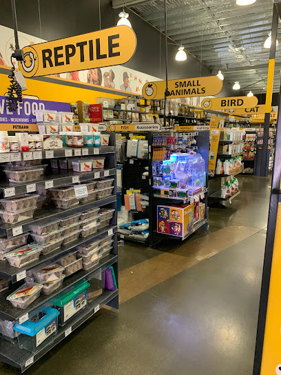 Petbarn Kotara