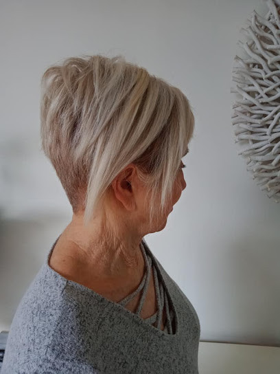 Lisa's Mobile Hair Cutting Central Coast