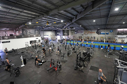 Impact Gym