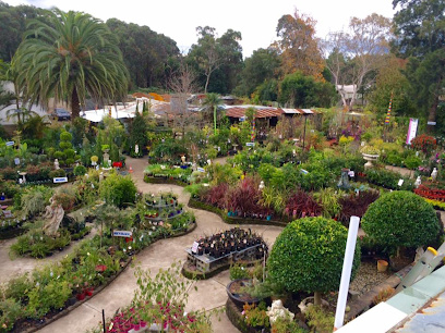 Photo of Wyee Nursery