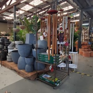 Photo of Mother Earth Nursery
