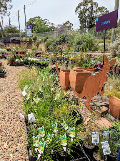 Photo of The Wildflower Meadow
