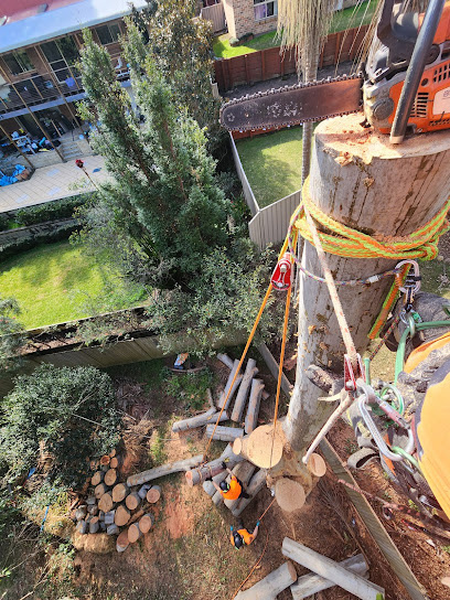 Photo of Tree Central Pty Ltd