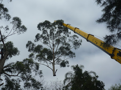 A and J Tree Services