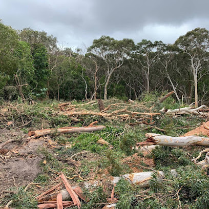Stump grinding Central Coast And Tree Services Pty Ltd