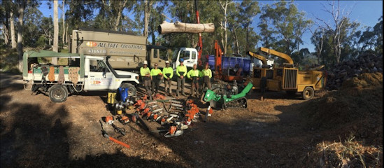 All Tree Solutions