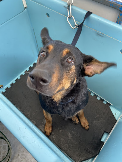 Aussie Pooch Mobile Dog Wash Umina