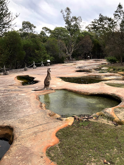 Photo of Walkabout Wildlife Sanctuary
