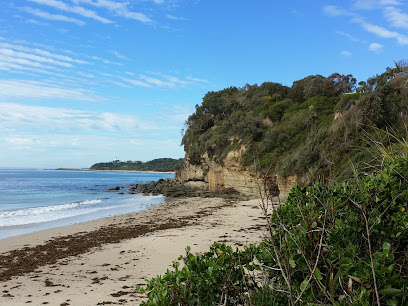 Photo of Jenny Dixon Reserve