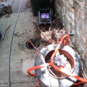 Photo of DrainGo Plumbing