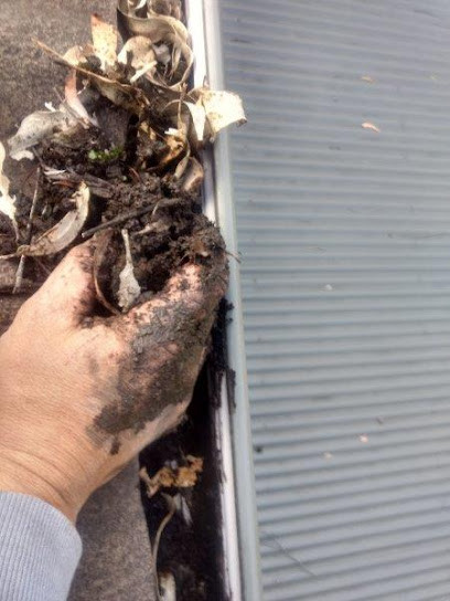 Central Coast Gutter Clean