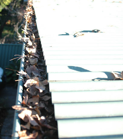 Coastwide Gutter Cleaning