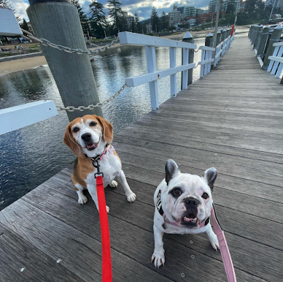 Photo of K9 Empire - Premium Pet Care & Dog Walking