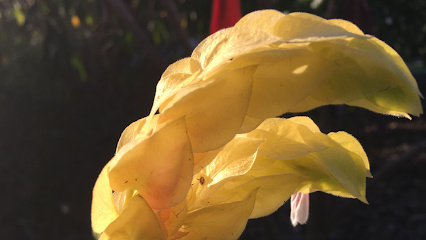 Photo of Fresh Home & Garden Services