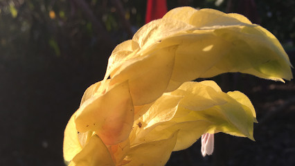 Fresh Home & Garden Services