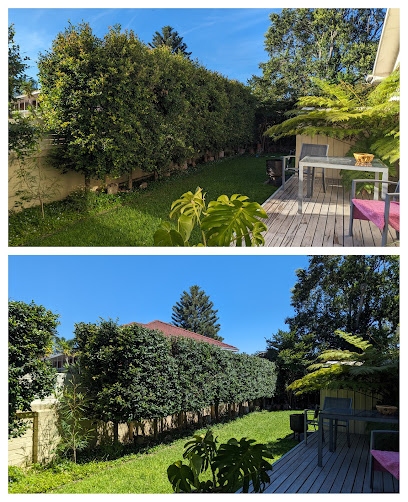 Photo of Roots Shoots & Leaves Garden Maintenance