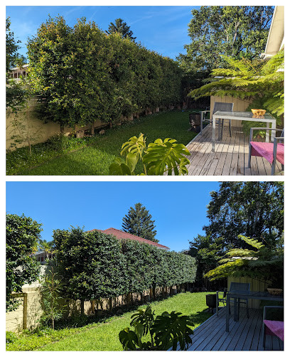 Roots Shoots & Leaves Garden Maintenance