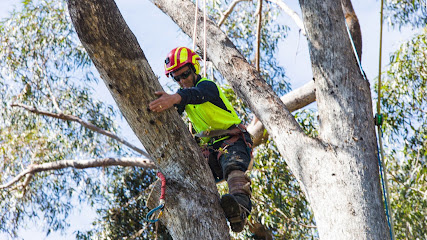 Photo of Bohmer's Tree Care