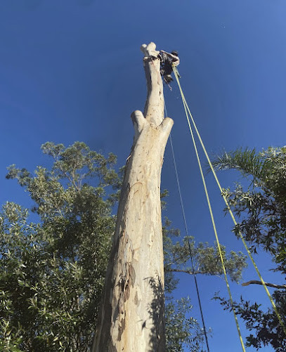 Cooney's Tree Care