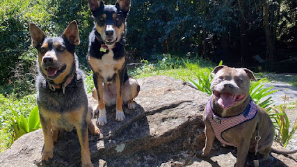 Photo of Canine Revolution Dog Training Wollongong