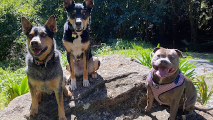 Canine Revolution Dog Training Wollongong