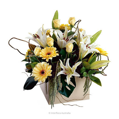Primavera Flowers