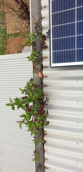 Northern Illawarra Gutter Cleaning