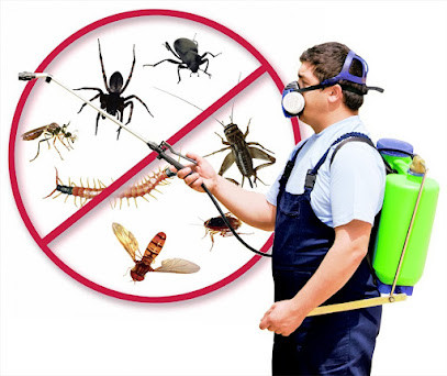 Local Pest Control Wollongong