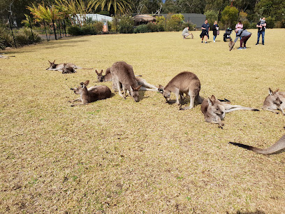 Photo of Symbio Wildlife Park