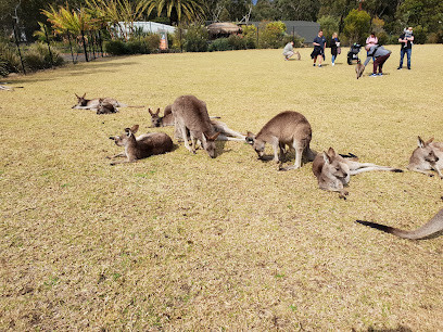 Symbio Wildlife Park
