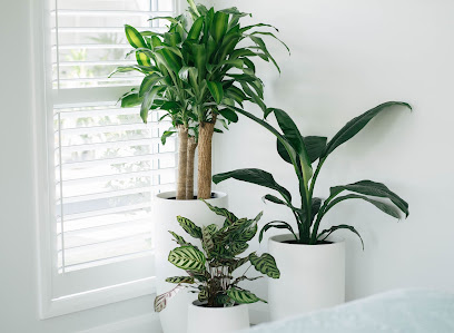 Photo of Love My Plants